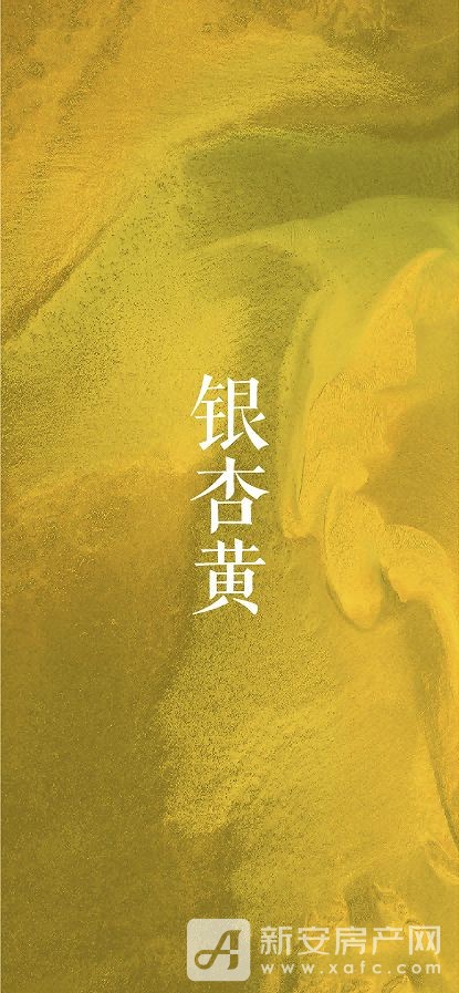 图片 3.jpg
