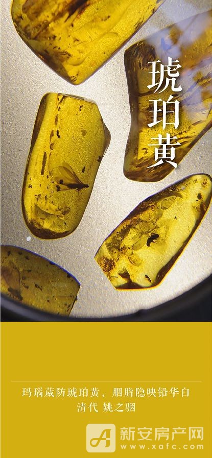 图片 4.jpg