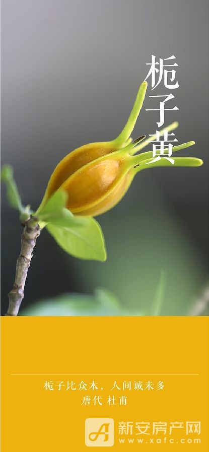 图片 6.jpg
