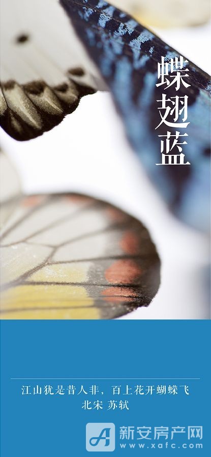 图片 11.jpg
