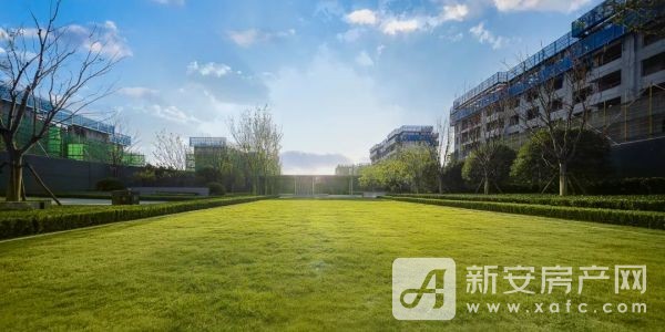 图片 29.jpg
