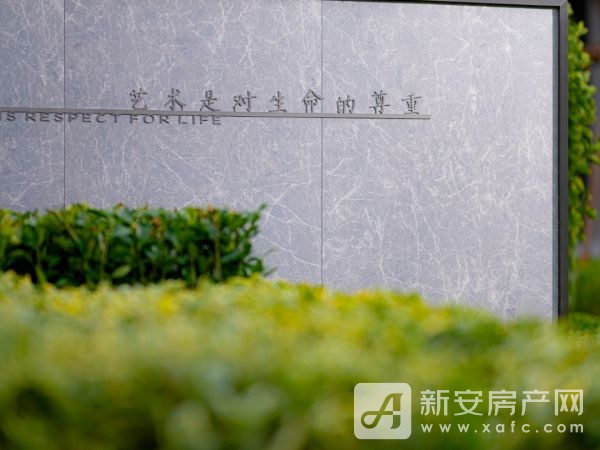 图片 25.jpg