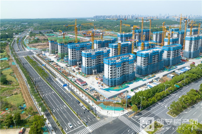 图片 1