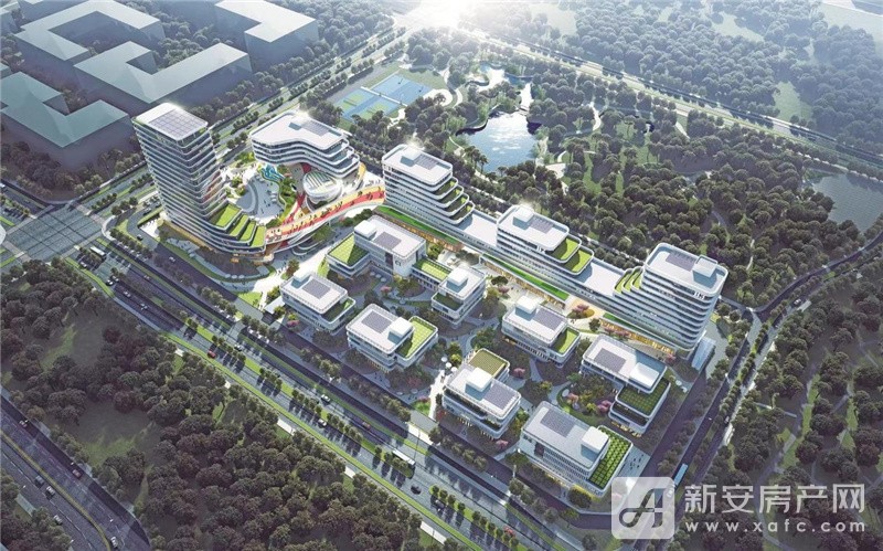 图片 8