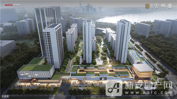 图片6