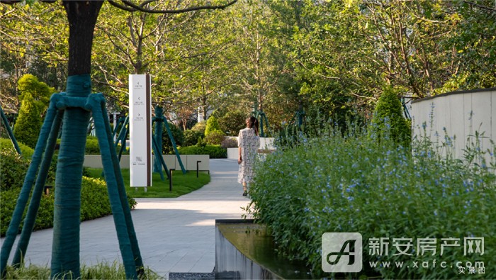 图片 9