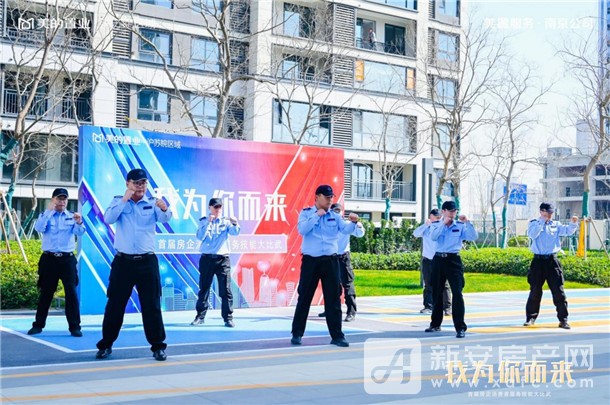 图片8
