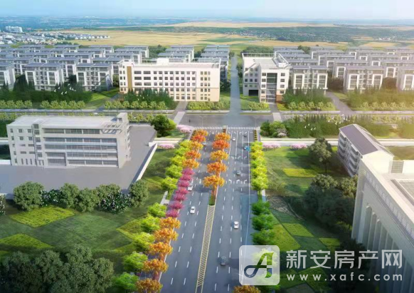 黄庄支路