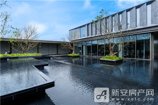 图片 12