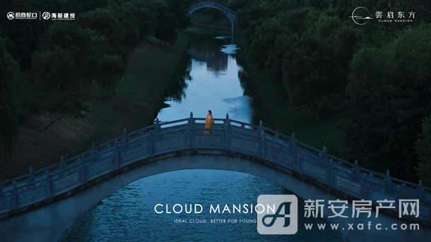 图片6
