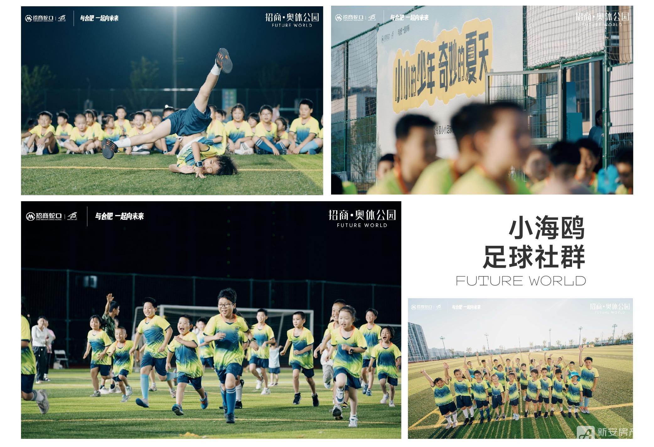 图片12.jpg