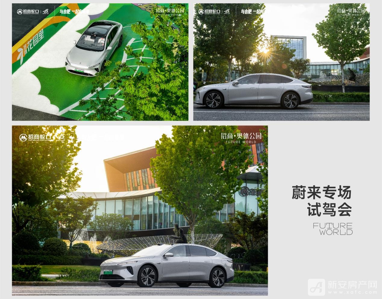 图片14.jpg